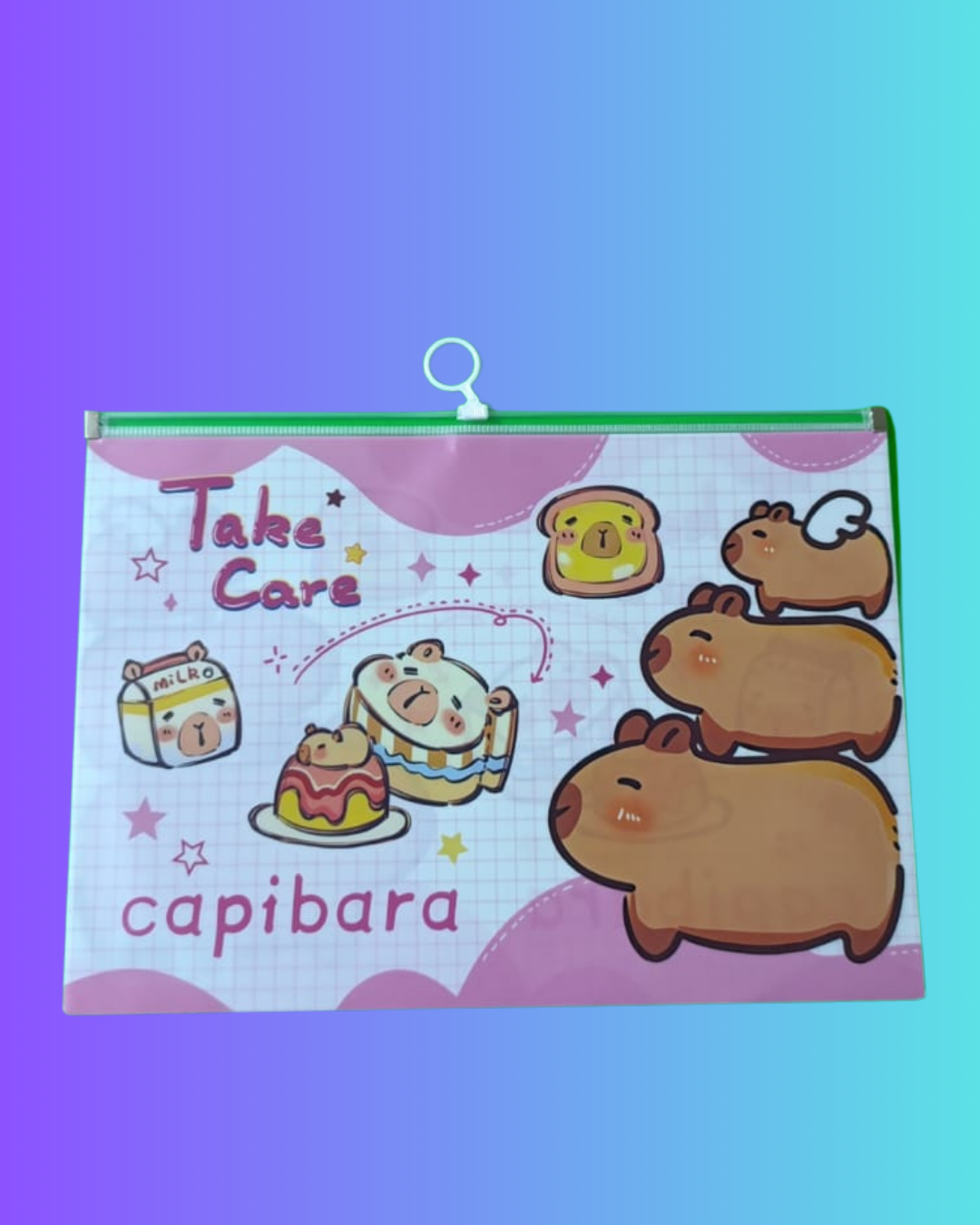 Sobre capibara varios modelos